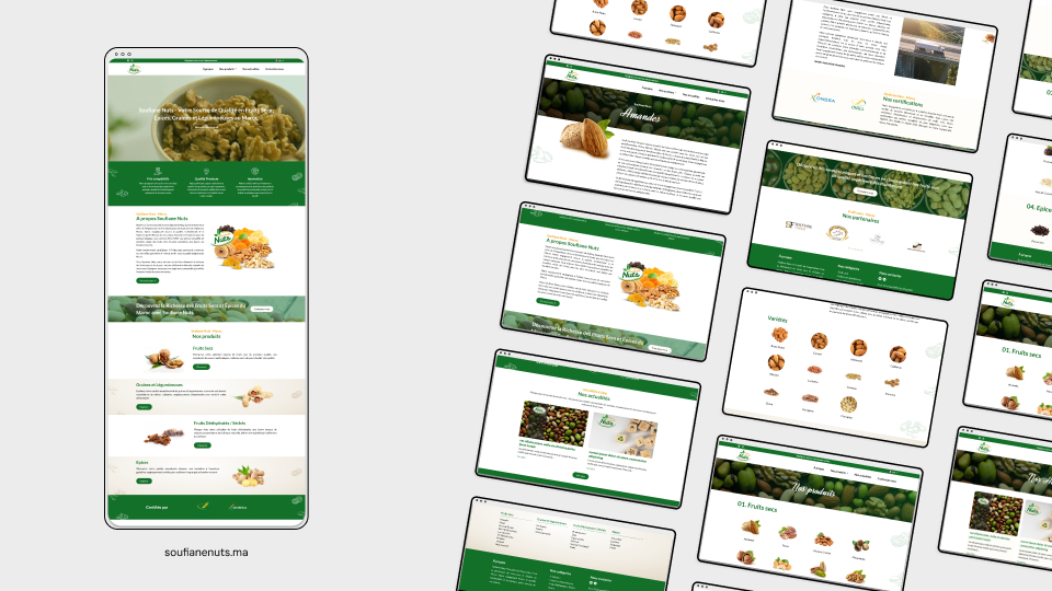 Mohamed LARIFI Web Designer Tetouan Morocco